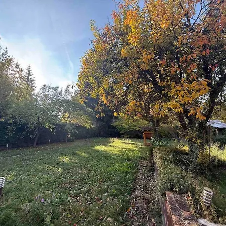Forest House Villa